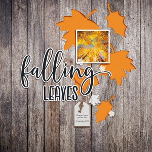 2018.09.30-Falling-Leaves