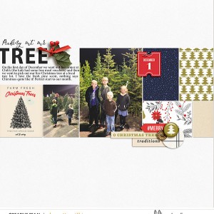 picking our tree