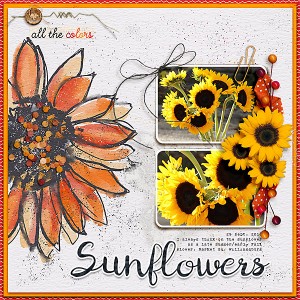 Sunflowers