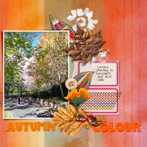 Oct scraplift chall