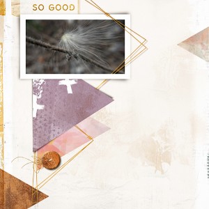 SoGood