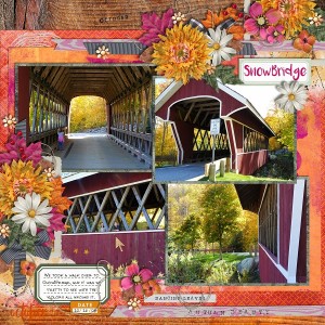 SnowBridge