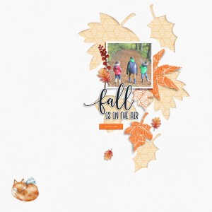 Fall is in the air