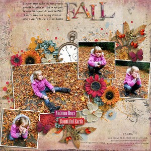 Fall