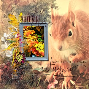 Colour of Autumn