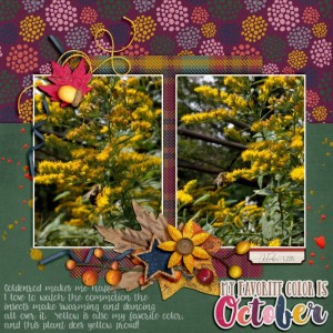 October Is My Favorite Color