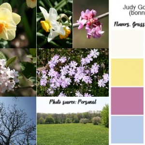 Flowers, Grass, Earth & Sky Color Palette