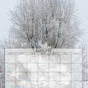 2019-Calendar-January