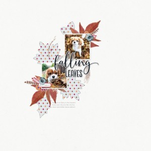 Falling Leaves