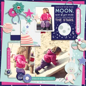 Shoot For The Moon
