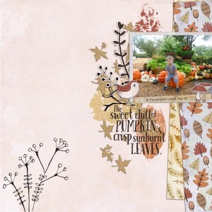 DSD slow scrap sat 6