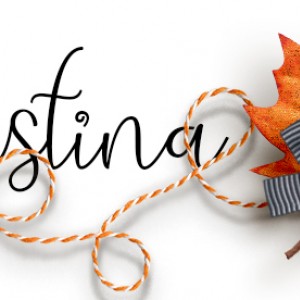 Fall Siggie