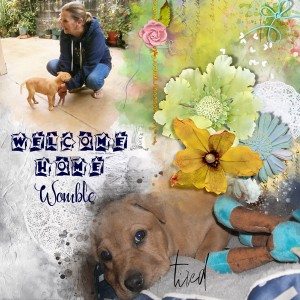 Welcome Home Womble