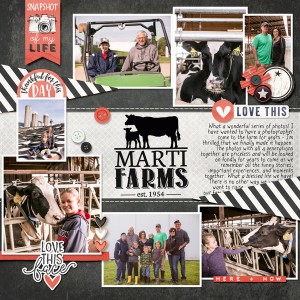 Marti Farms