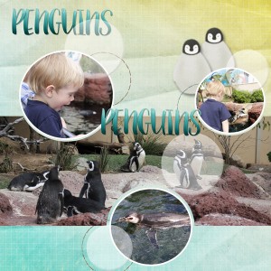 Gabe-penguins