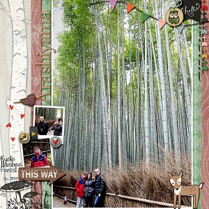 Bamboo-forest