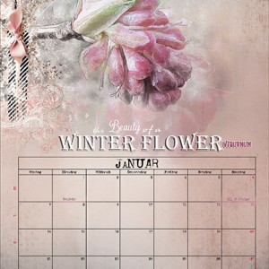 NBK_Kalender_Januar