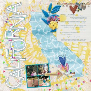 DSD-tech1-california
