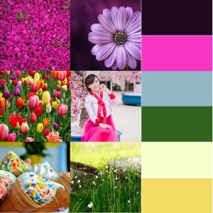 Mood Board Web