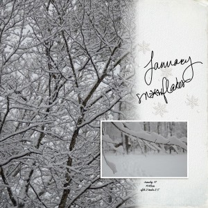 January Snow - DSD Scraplift challenge