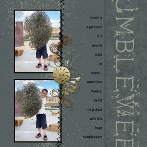 10-7-18_Tumbleweed