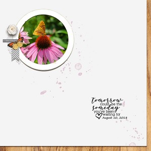2018-08-10 Butterfly
