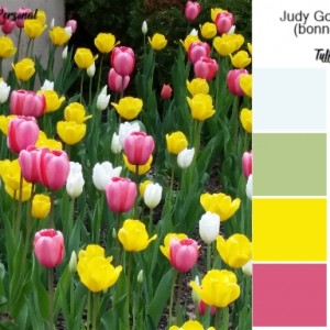 Tulips Color Palette