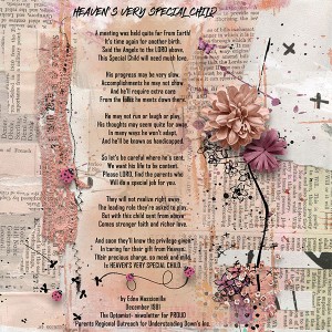 Heaven`s-very-special-Child