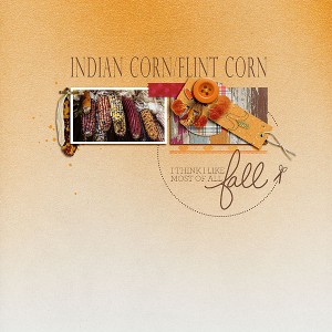 Indian/Flint Corn