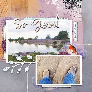Gila-River