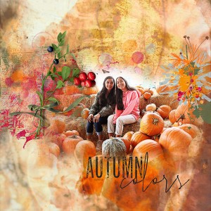 Autumn Colors