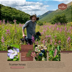 Mountain Pastures