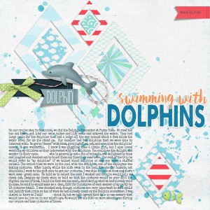 Swim With Dolphins