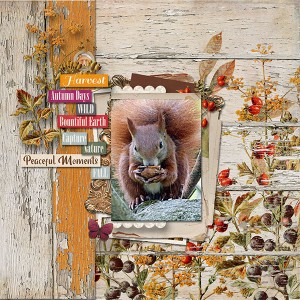 Autumn-moments