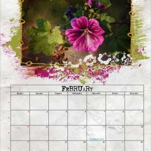 NBK Calendar Challenge - February