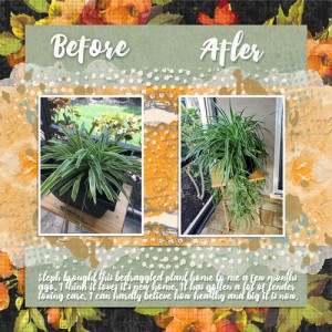Before and After