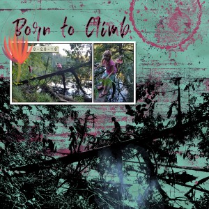 Born to Climb