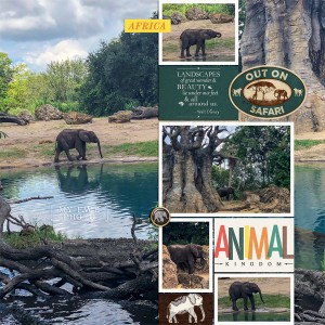 Kilimanjaro Safari - Animal Kingdom, September 2018