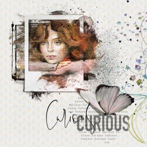 Delightful-Curiousity