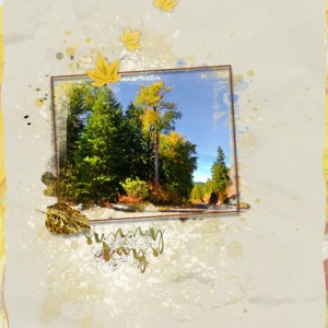 10-18_WhiteSpace_AutumnRoad