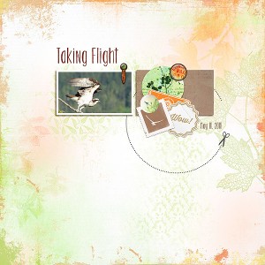 Taking Flight