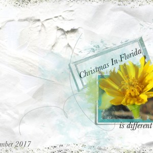 Flower-white-space