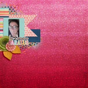 In omnia paratus