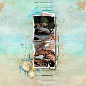 Down by the Shore
