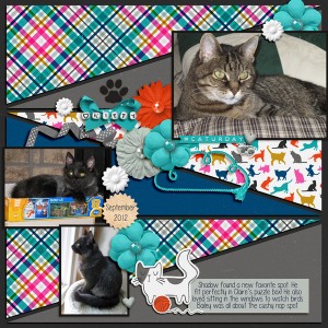 2012-09-01 Kitty Places