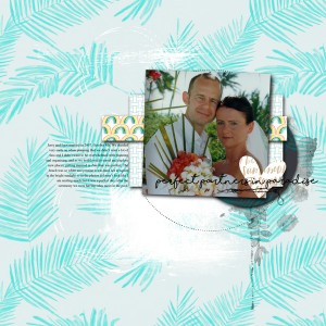 Perfect-partners-in-paradis