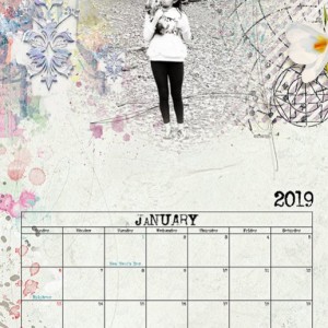 Calendar 2019 Jan