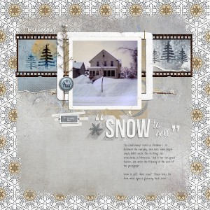 Snow To Sell