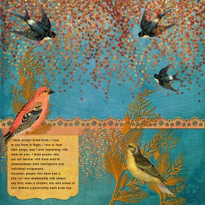 I love birds!