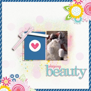 Sleeping-Beauty
